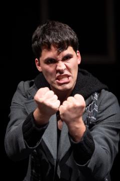 Loški oder Škofja Loka (12)